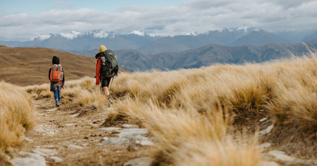 Choosing The Best Te Araroa Track for Your Ability
