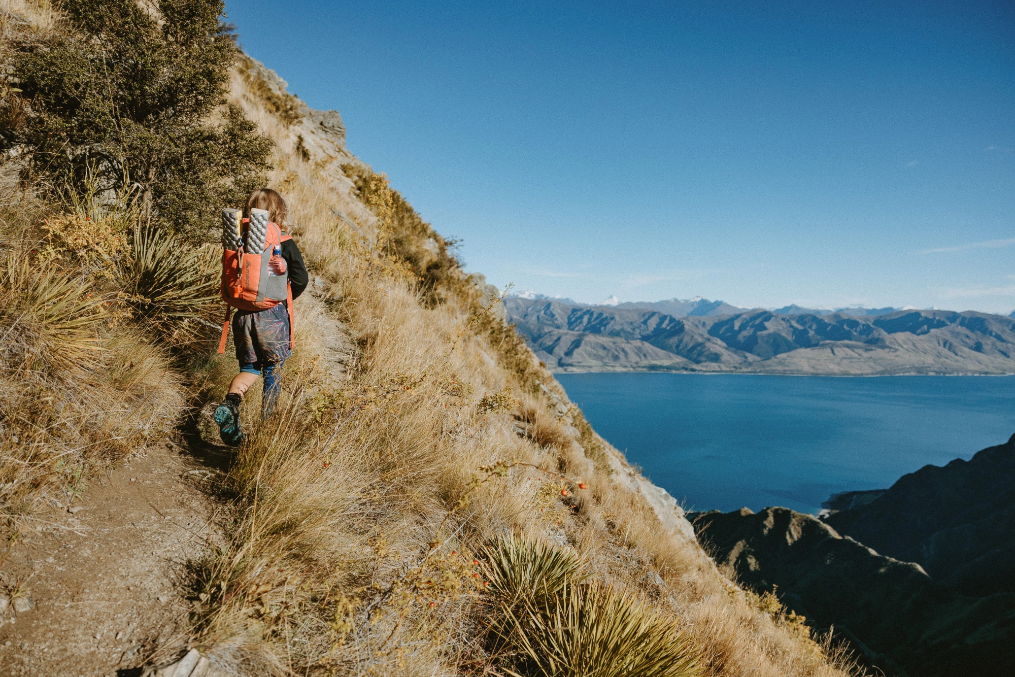 Wanaka-Te-Araroa-3278_Breast-Hill-Track-Hawea