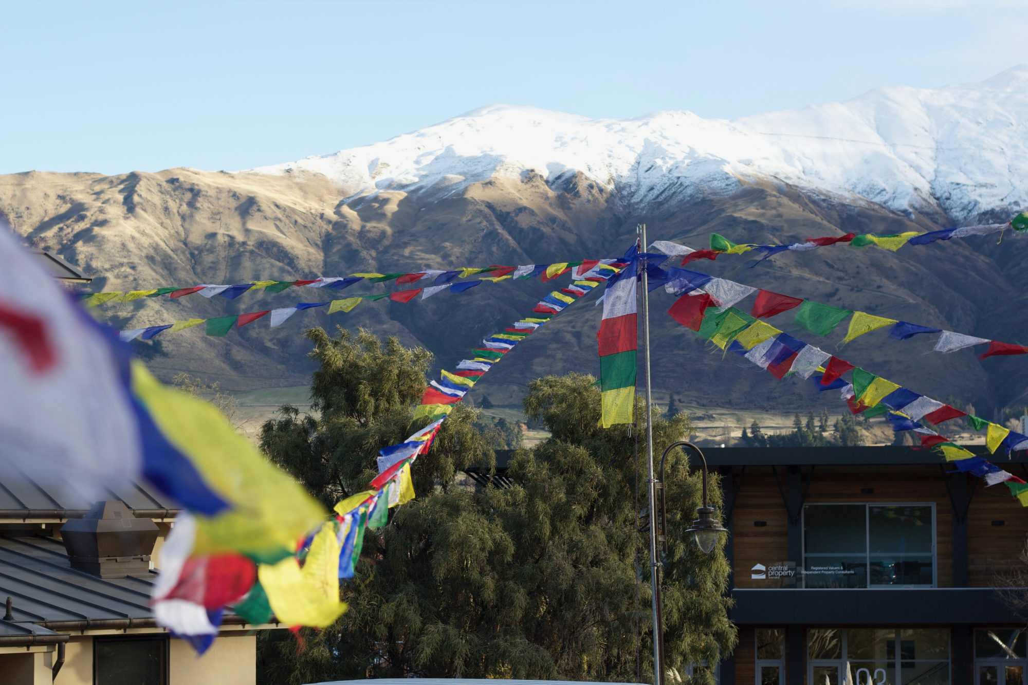 NZ Mountain Film & Book Festival Wanaka Official Website