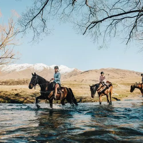  Horse Trekking thumbnail