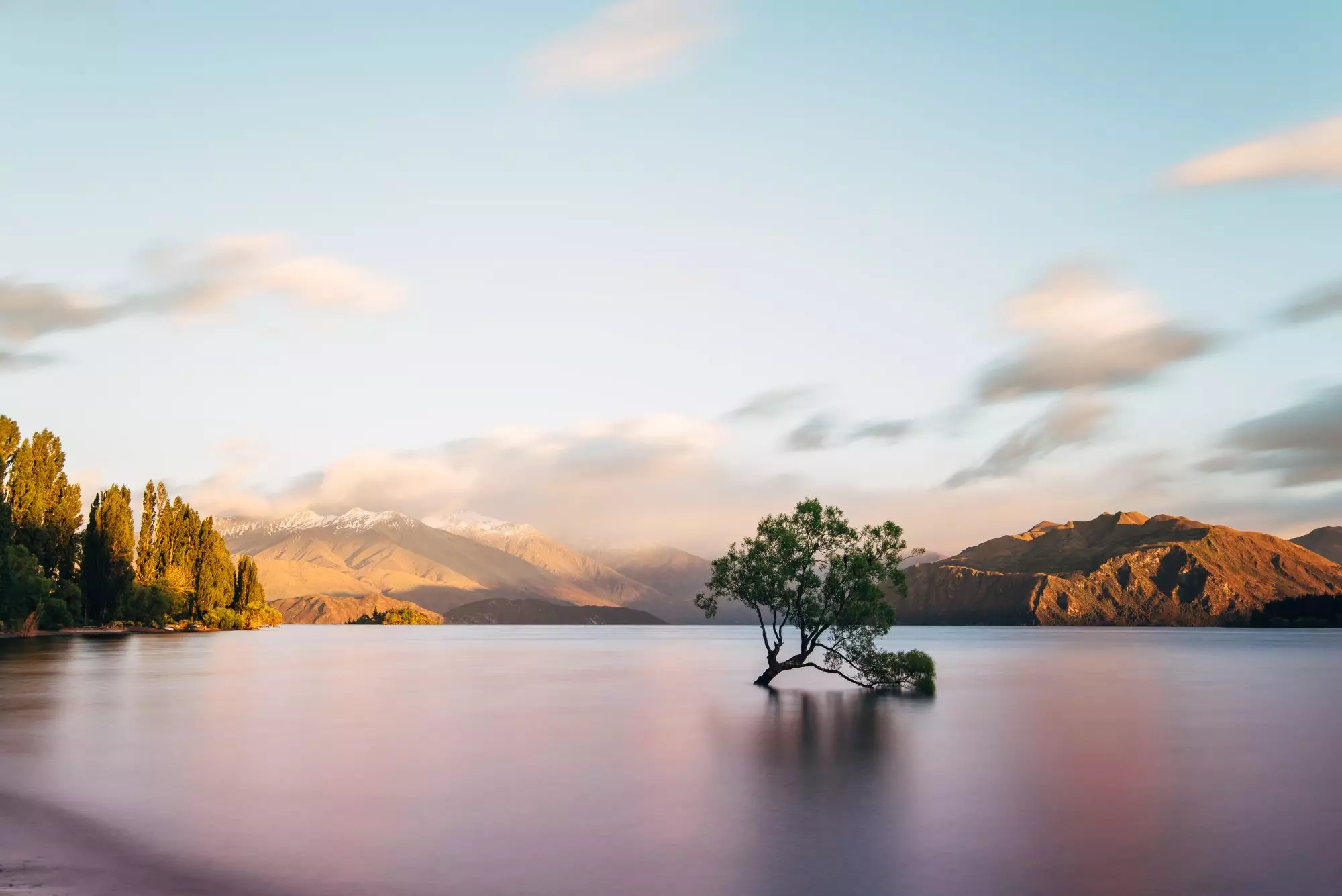 Wanaka-tree-Autumn-JohanLolos